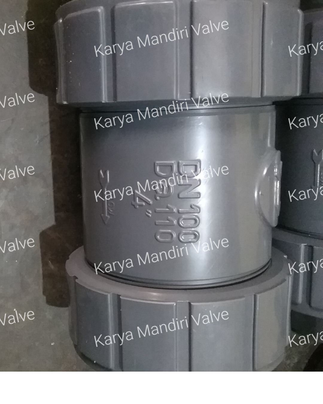PVC Check Valve